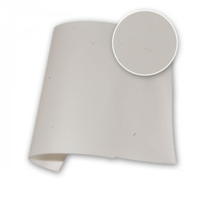 Back Projection Screen IFR Translucent PVC 86 in / 220 cm